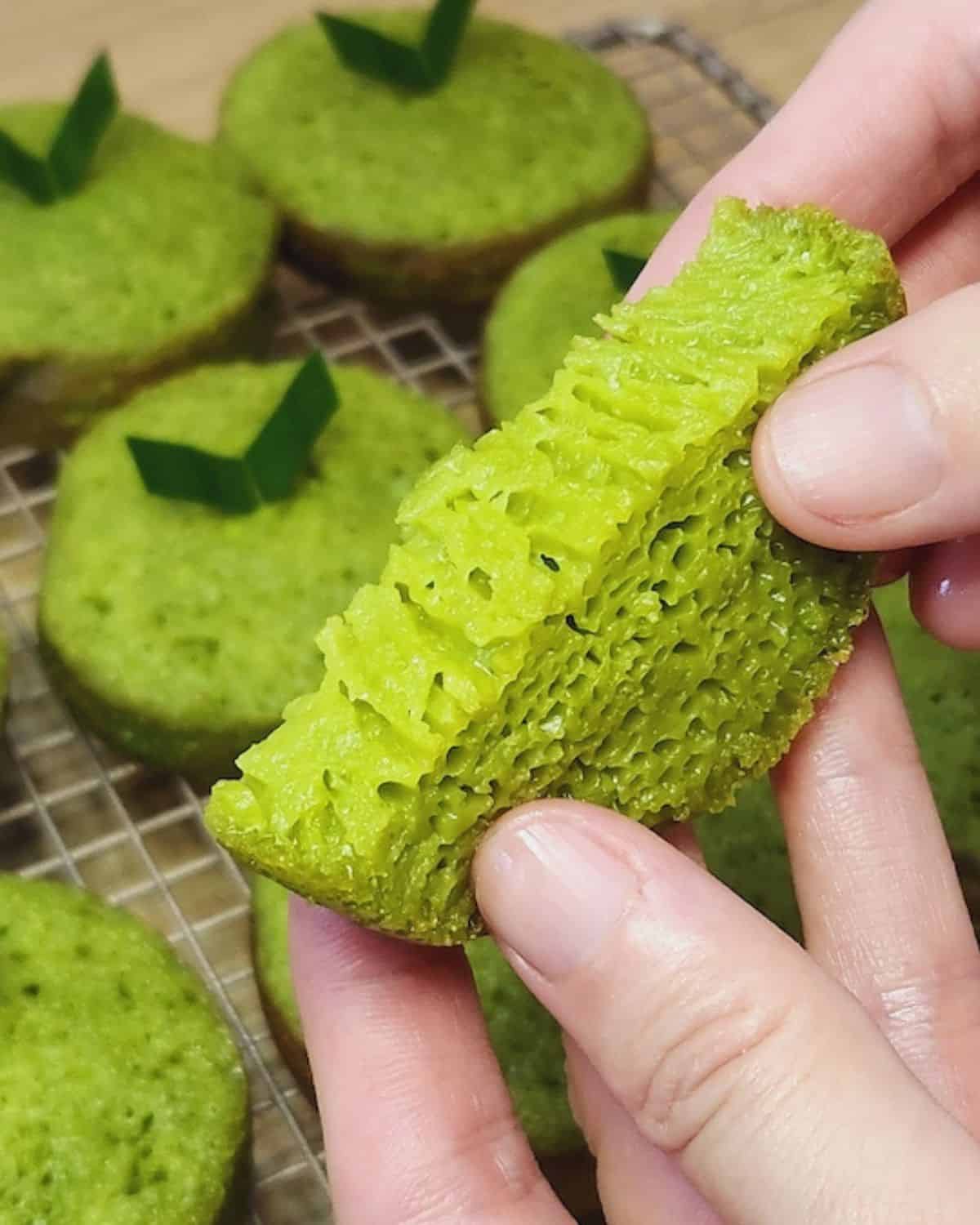 Two hands holding Mini Bika Ambon Pandan with its honeycomb texture.