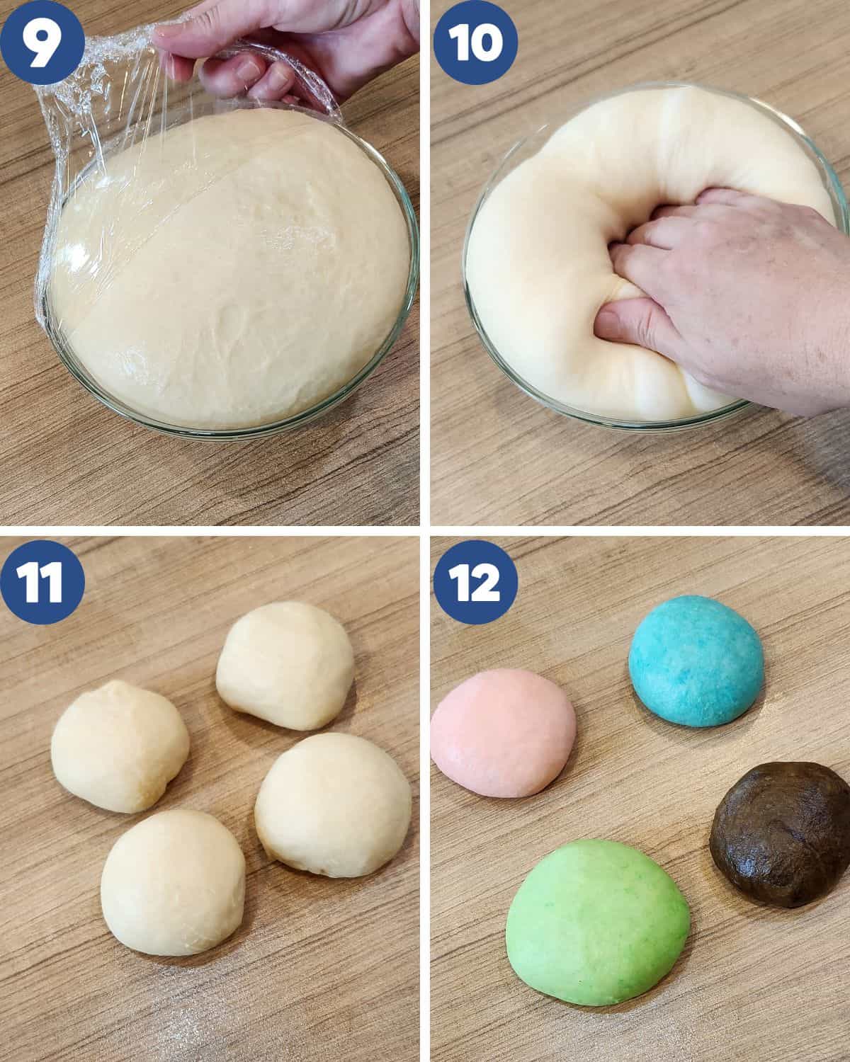 Step by step process photos of fermentation and coloring the dough.