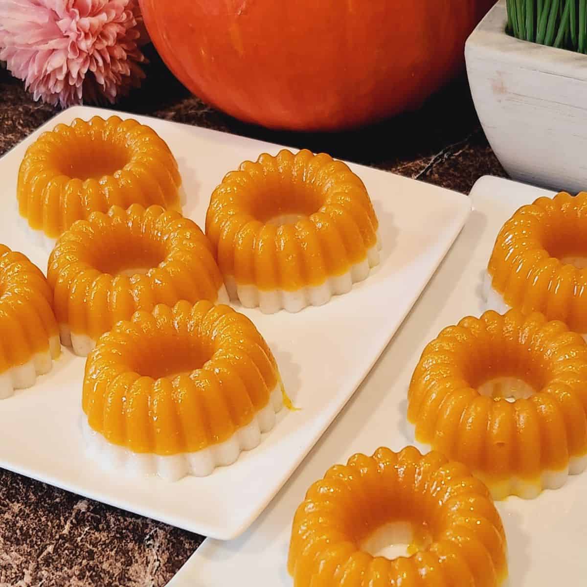 Two plates of kuih talam labu, beautifully aligned.